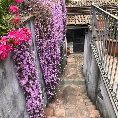 Casa Del Nespolo Sul Mare Apartment Acireale